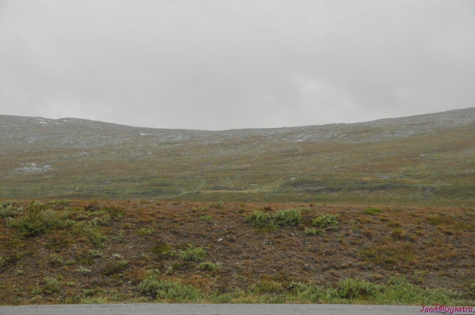 DSC_0742.JPG
