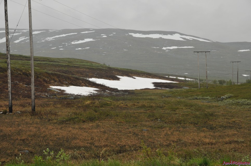 DSC_0743.JPG