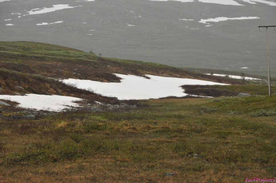 DSC_0744.JPG