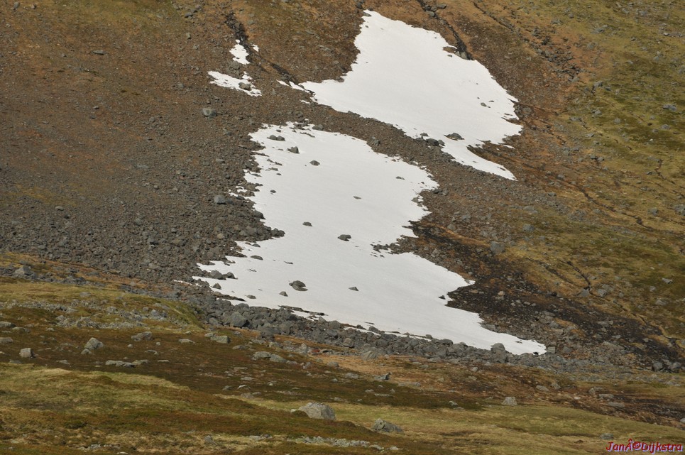 DSC_0901.JPG