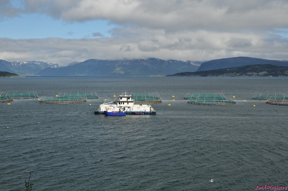 DSC_0919.JPG