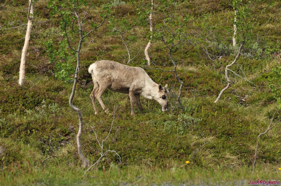 DSC_0922.JPG