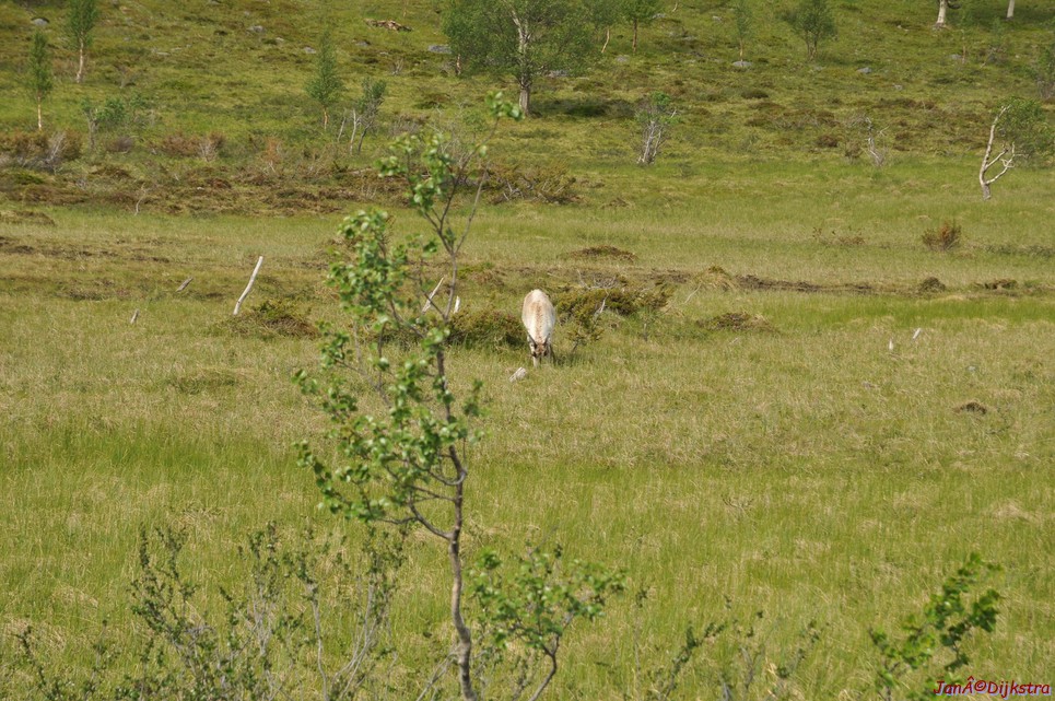 DSC_0926.JPG