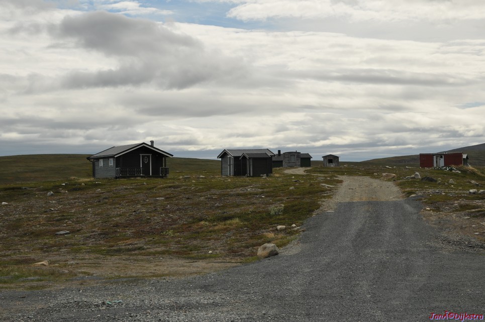 DSC_0944.JPG