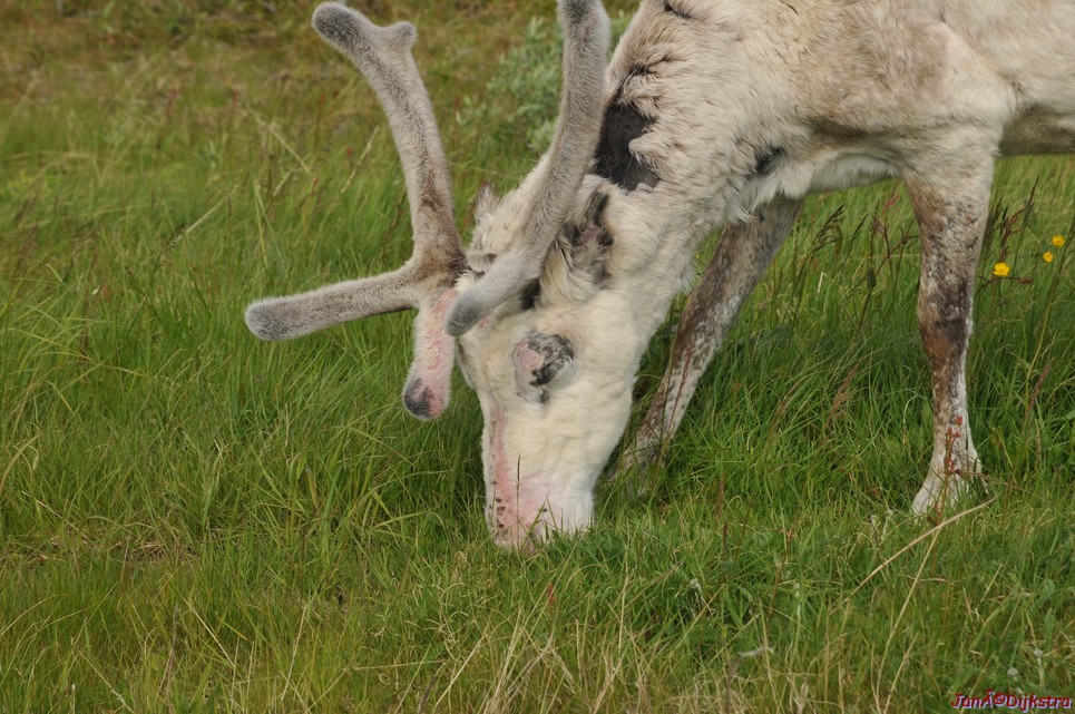 DSC_0977.JPG