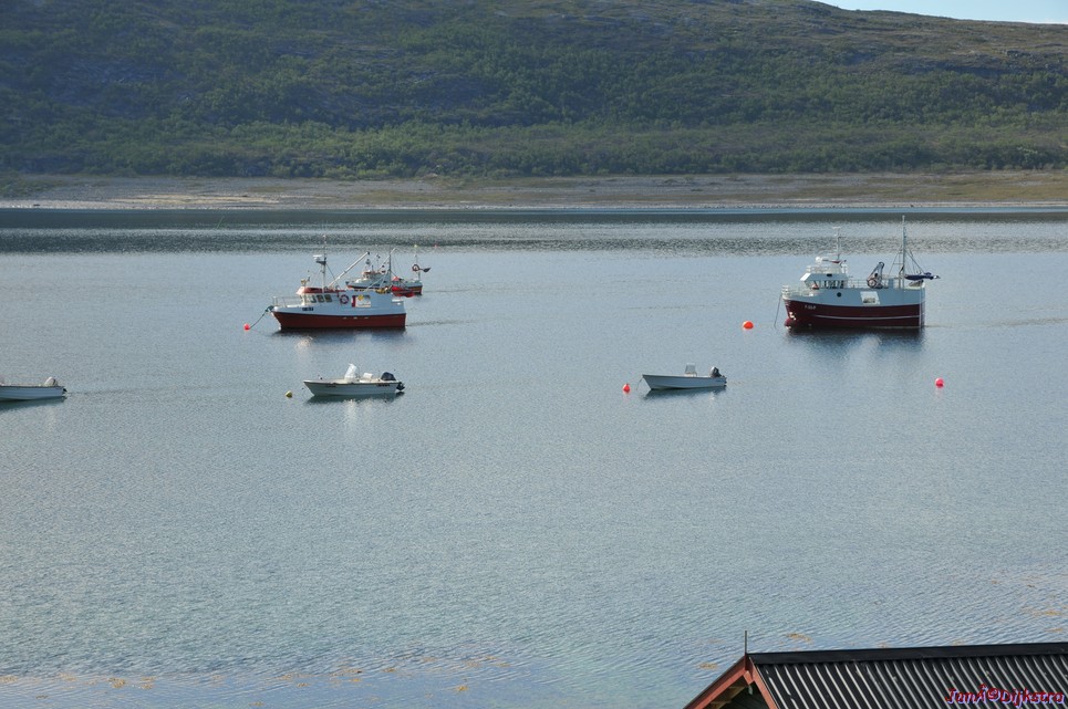 DSC_0983.JPG