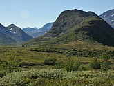 DSC_0659.JPG