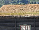DSC_0682.JPG