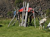 DSC_0696.JPG