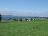 DSC_0698.JPG