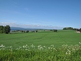 DSC_0699.JPG