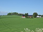 DSC_0700.JPG