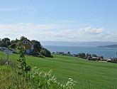 DSC_0702.JPG