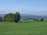 DSC_0703.JPG