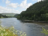 DSC_0709.JPG