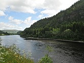 DSC_0711.JPG
