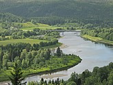 DSC_0718.JPG