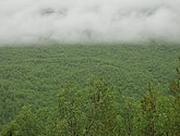DSC_0738.JPG