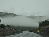 DSC_0741.JPG