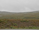 DSC_0742.JPG