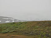 DSC_0745.JPG