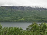 DSC_0771.JPG