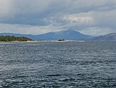 DSC_0783.JPG