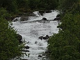 DSC_0846.JPG
