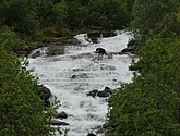 DSC_0848.JPG