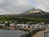 DSC_0859.JPG