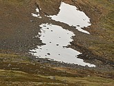 DSC_0901.JPG