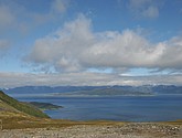DSC_0905.JPG