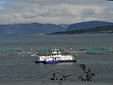 DSC_0918.JPG