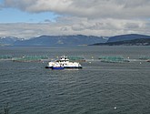 DSC_0919.JPG
