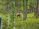 DSC_0927.JPG