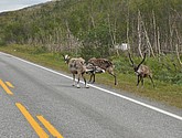 DSC_0957.JPG