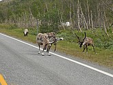 DSC_0958.JPG
