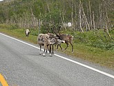 DSC_0960.JPG