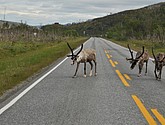 DSC_0966.JPG