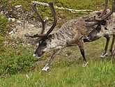 DSC_0972.JPG