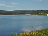 DSC_0984.JPG