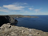 DSC_1004.JPG