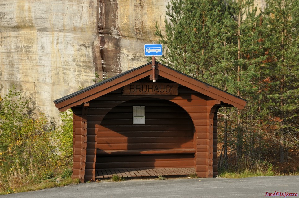 DSC_1455.JPG