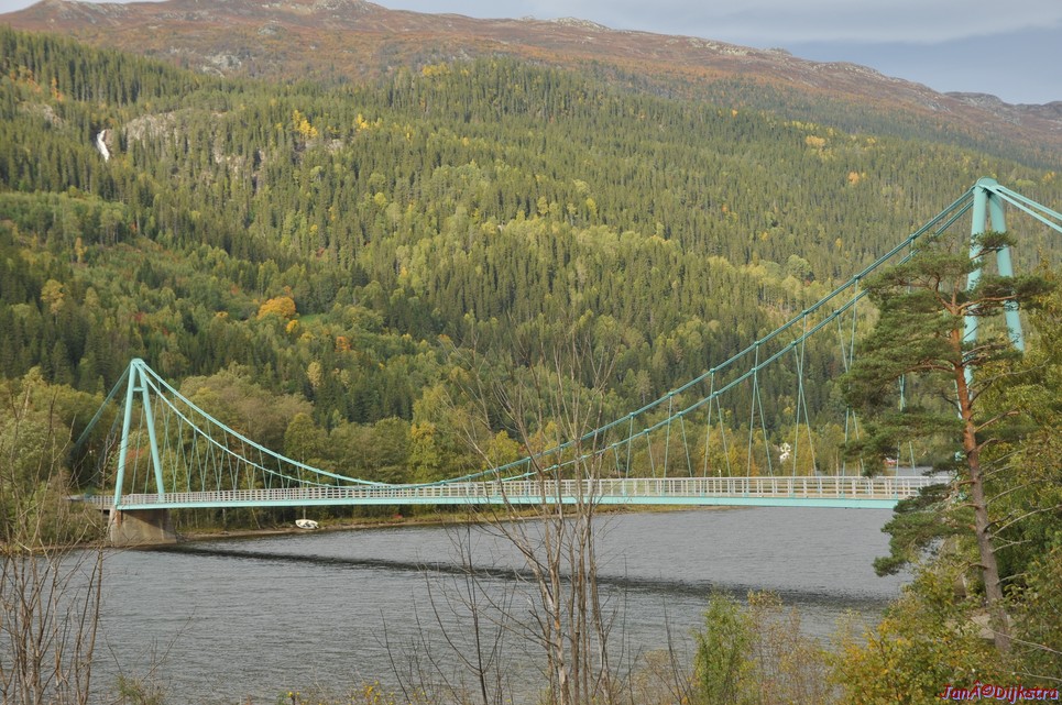 DSC_1459.JPG
