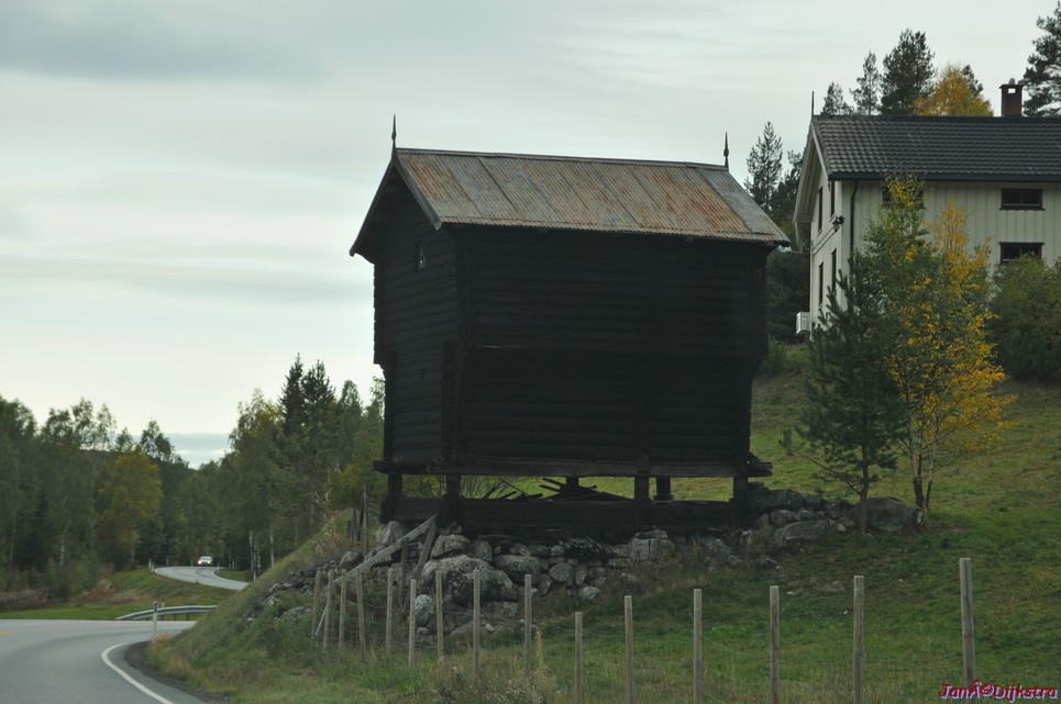 DSC_1473.JPG