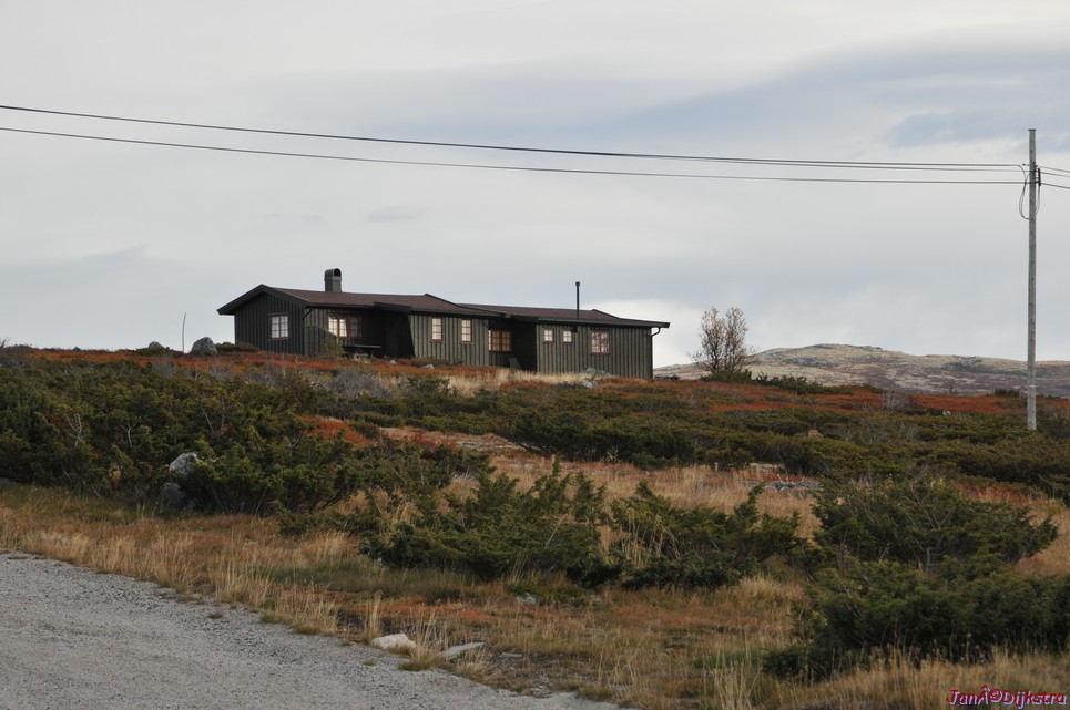 DSC_1475.JPG