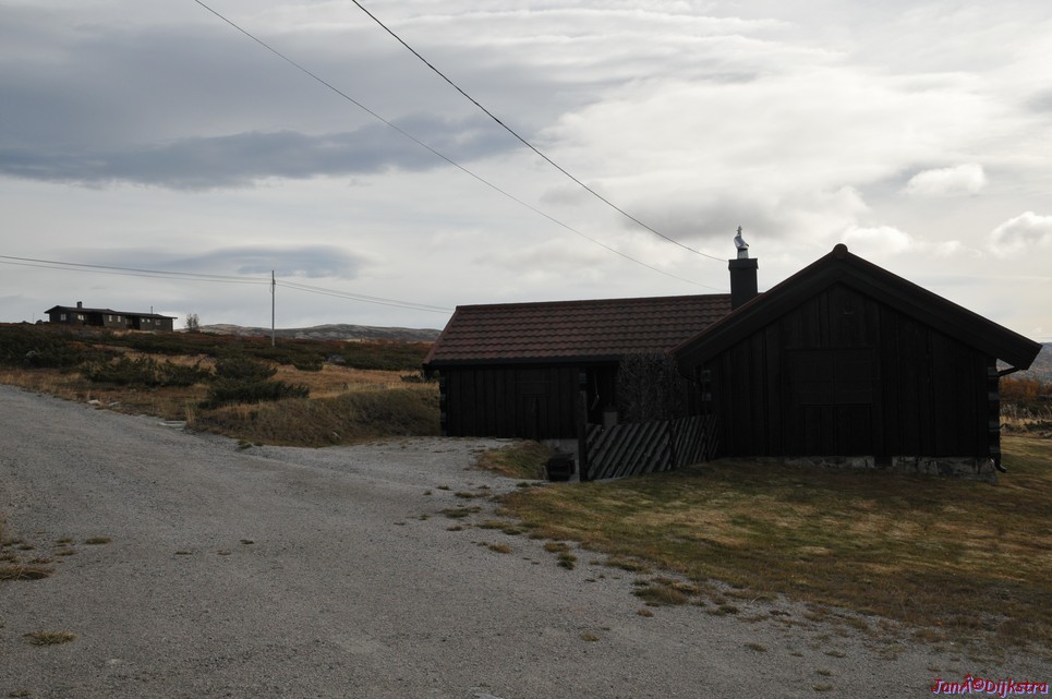 DSC_1476.JPG