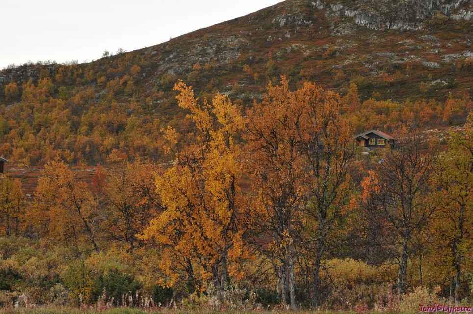 DSC_1477.JPG