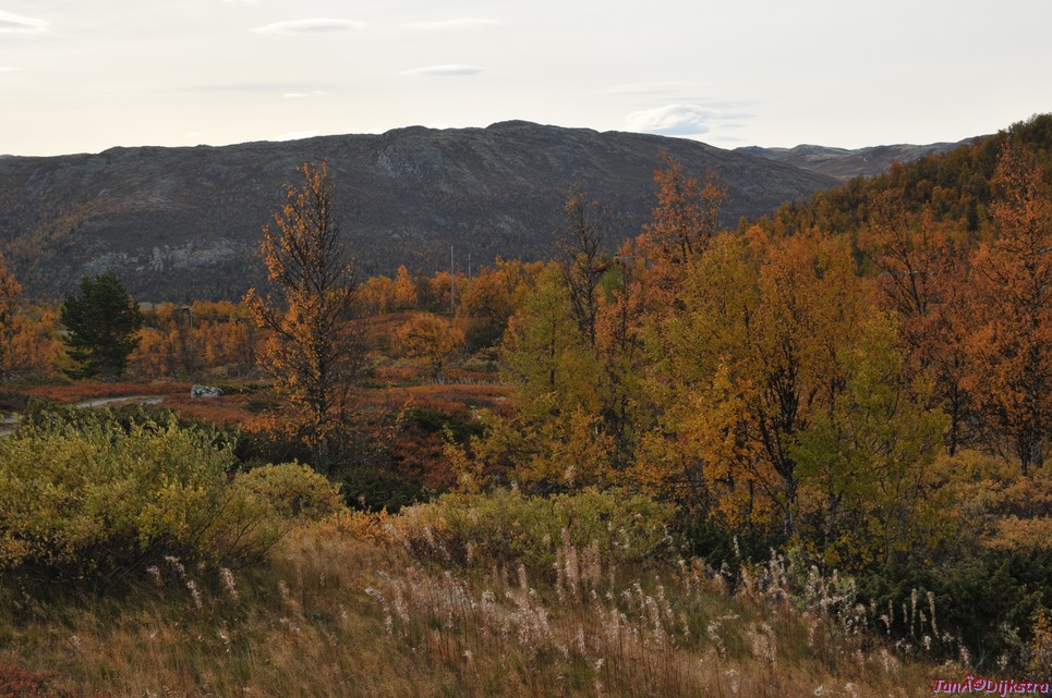 DSC_1478.JPG