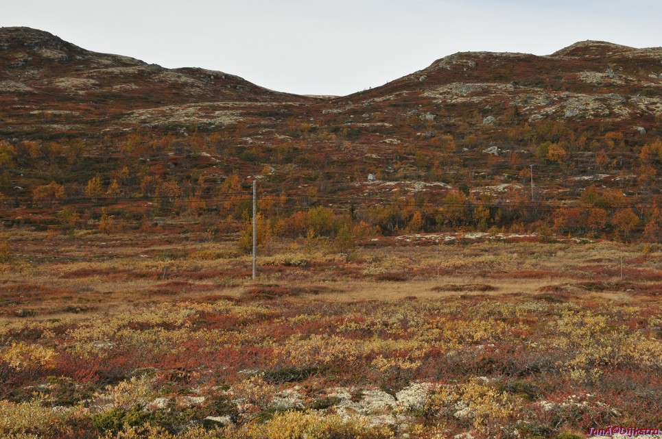 DSC_1481.JPG